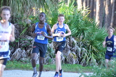 Enlarge photo 483