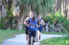 Enlarge photo 485