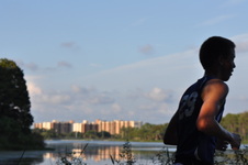 Enlarge photo 533