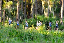 Enlarge photo 548