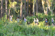 Enlarge photo 549