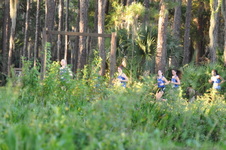 Enlarge photo 550