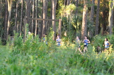 Enlarge photo 551