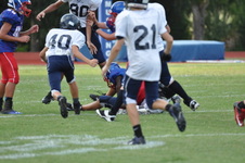 Enlarge photo 35