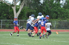 Enlarge photo 43