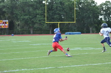 Enlarge photo 47