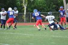 Enlarge photo 51