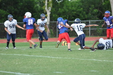 Enlarge photo 52