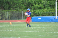 Enlarge photo 62