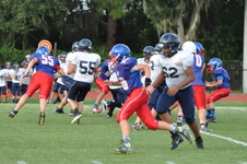 Enlarge photo 72
