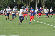 Enlarge photo 77