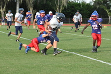 Enlarge photo 81