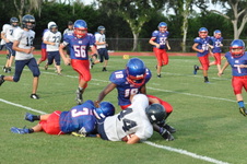 Enlarge photo 84