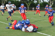 Enlarge photo 85