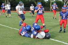 Enlarge photo 86