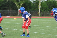 Enlarge photo 88