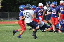 Enlarge photo 117