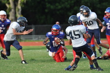 Enlarge photo 118