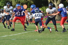 Enlarge photo 133