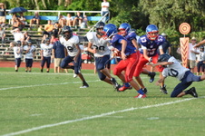Enlarge photo 135