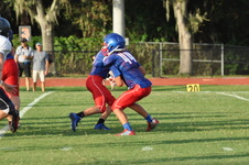 Enlarge photo 144