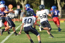 Enlarge photo 146