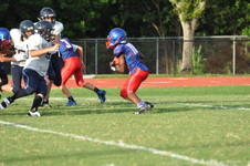 Enlarge photo 168