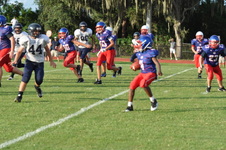 Enlarge photo 194