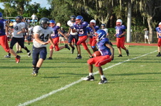 Enlarge photo 195