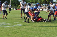 Enlarge photo 205