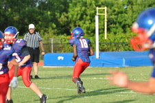 Enlarge photo 215