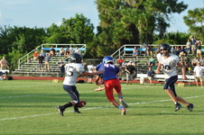 Enlarge photo 219