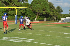 Enlarge photo 228
