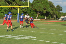 Enlarge photo 229