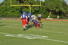 Enlarge photo 230