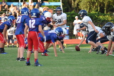 Enlarge photo 237