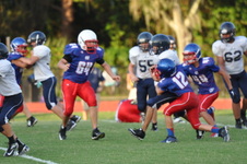 Enlarge photo 238