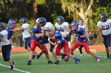 Enlarge photo 239