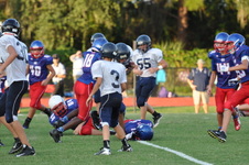 Enlarge photo 242