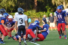 Enlarge photo 244