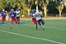 Enlarge photo 253