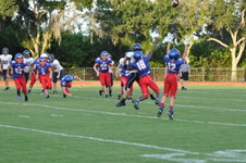 Enlarge photo 261