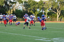 Enlarge photo 262