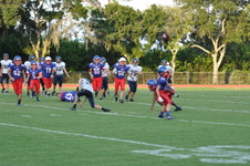 Enlarge photo 263