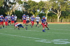 Enlarge photo 264