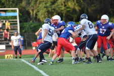 Enlarge photo 271