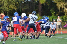 Enlarge photo 273