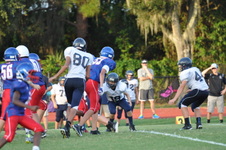 Enlarge photo 274