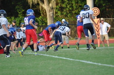 Enlarge photo 276