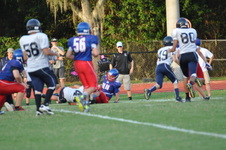 Enlarge photo 278